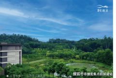 您深度解读广州及全国最新购房政策